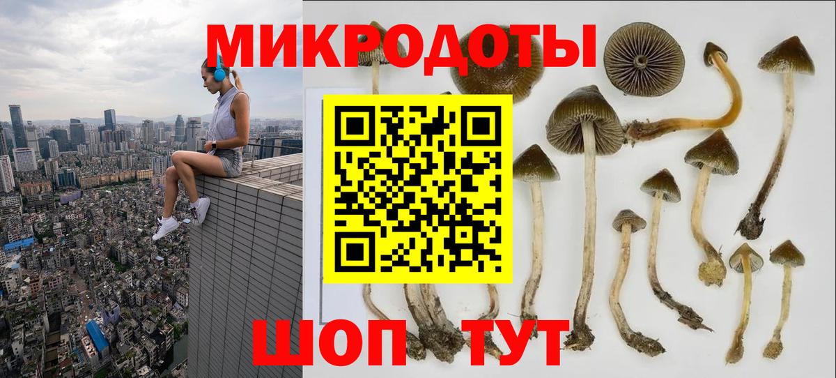 Горячий Ключ  дарнет шоп  Вход с VPN  Галлюциногенные грибы Psilocybe 